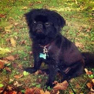 Meet your Posher, Margaret